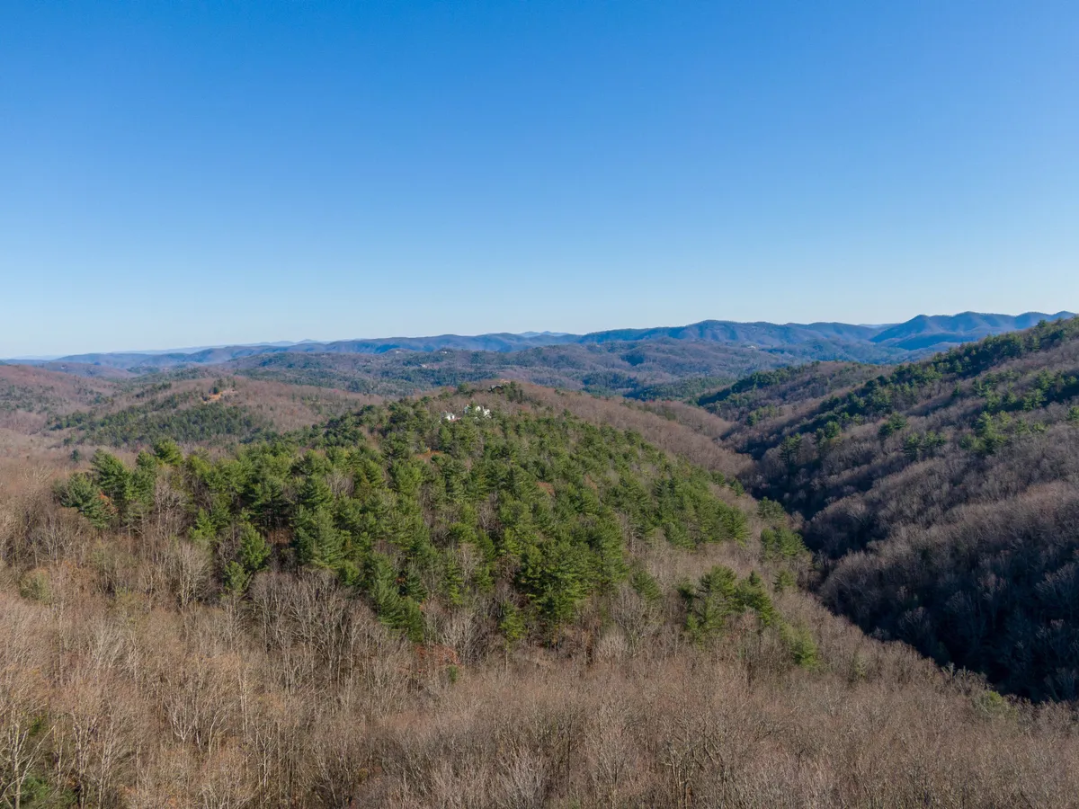 A panoramic view of rolling hills, dense forest, and distant mountains under a clear blue sky. The untouched natural landscape evokes the sense of nearby hiking trails and pet-friendly outdoor exploration.